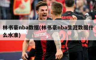 林书豪nba数据(林书豪nba生涯数据什么水准)