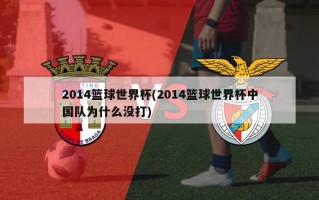 2014篮球世界杯(2014篮球世界杯中国队为什么没打)